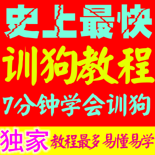 热卖 宠物狗狗训练方法训狗教程教材训练狗狗教学训犬教程 带售后(tbd) 